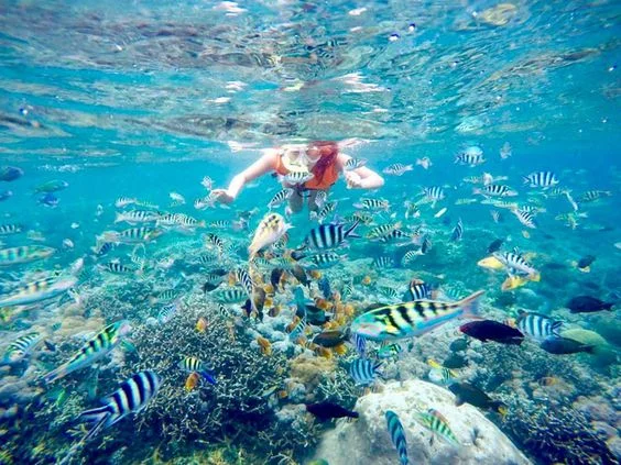 snorkeling bali